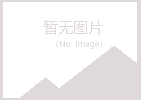 漠河县紫山金属有限公司